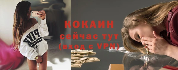 шишки Балабаново