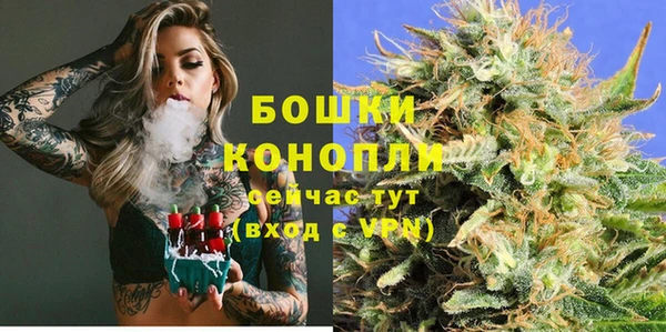 шишки Балабаново