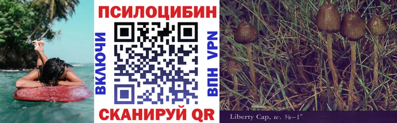 купить наркотик  Заречный  Галлюциногенные грибы мухоморы 
